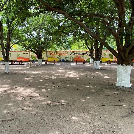 Hotel Tamarindos 锡瓦塔塔内霍 外观 照片